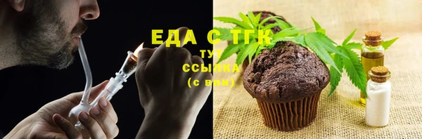 индика Балахна