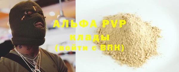 индика Балахна