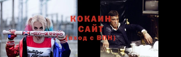 индика Балахна