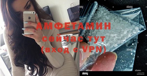 индика Балахна