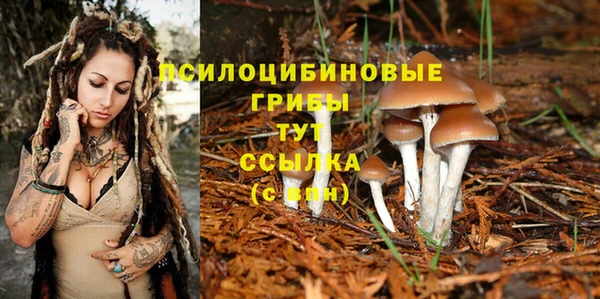 индика Балахна