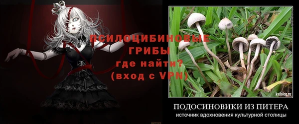 хмурый Балабаново