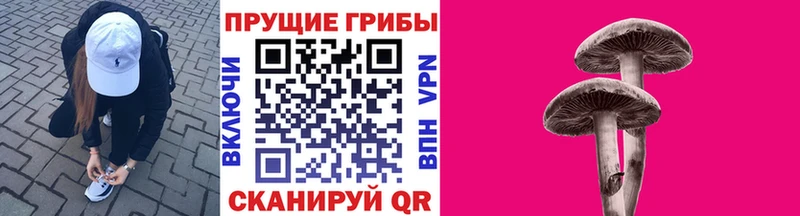 Псилоцибиновые грибы прущие грибы  Балабаново 